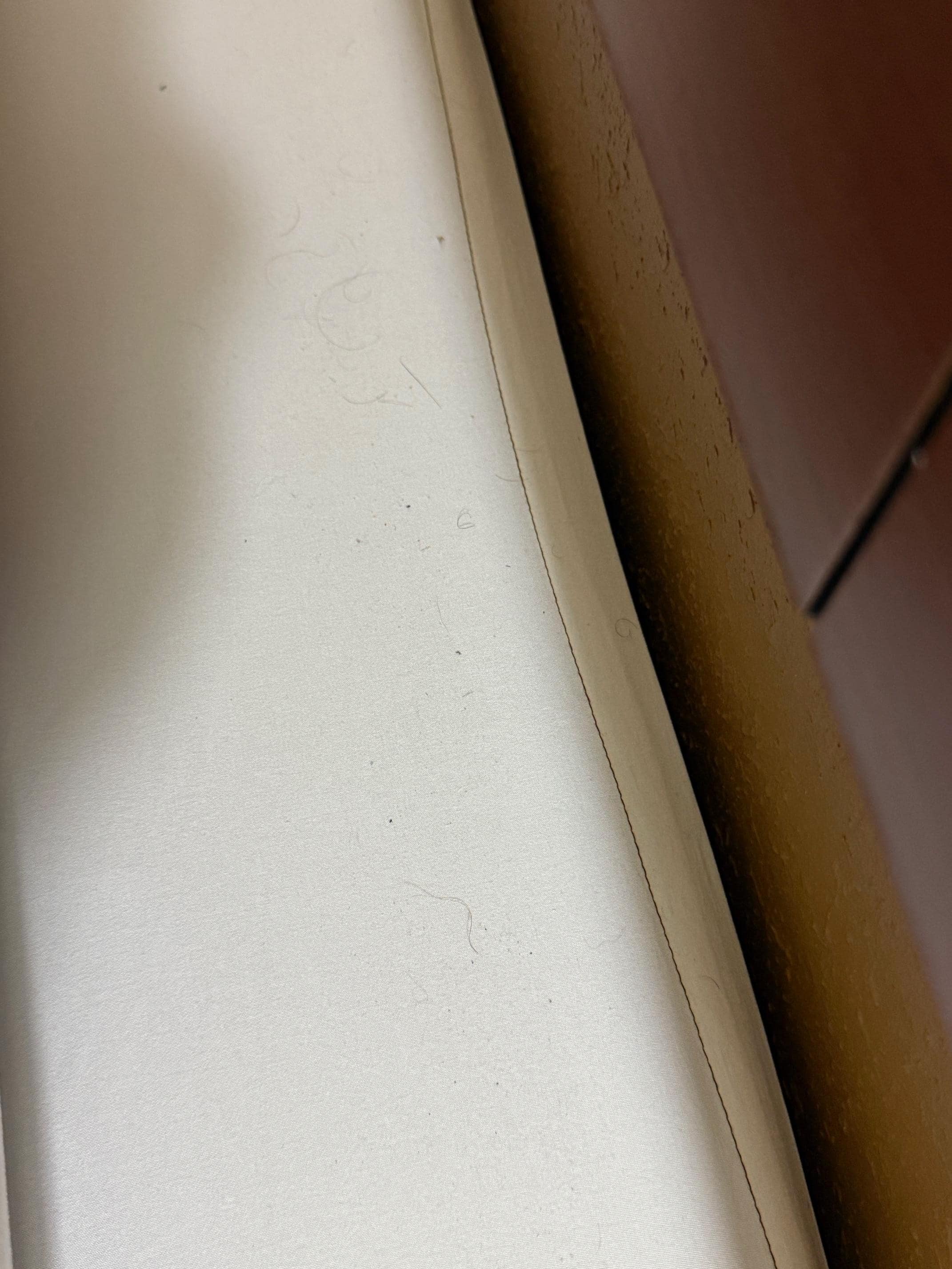 Hair dirt and crumbs