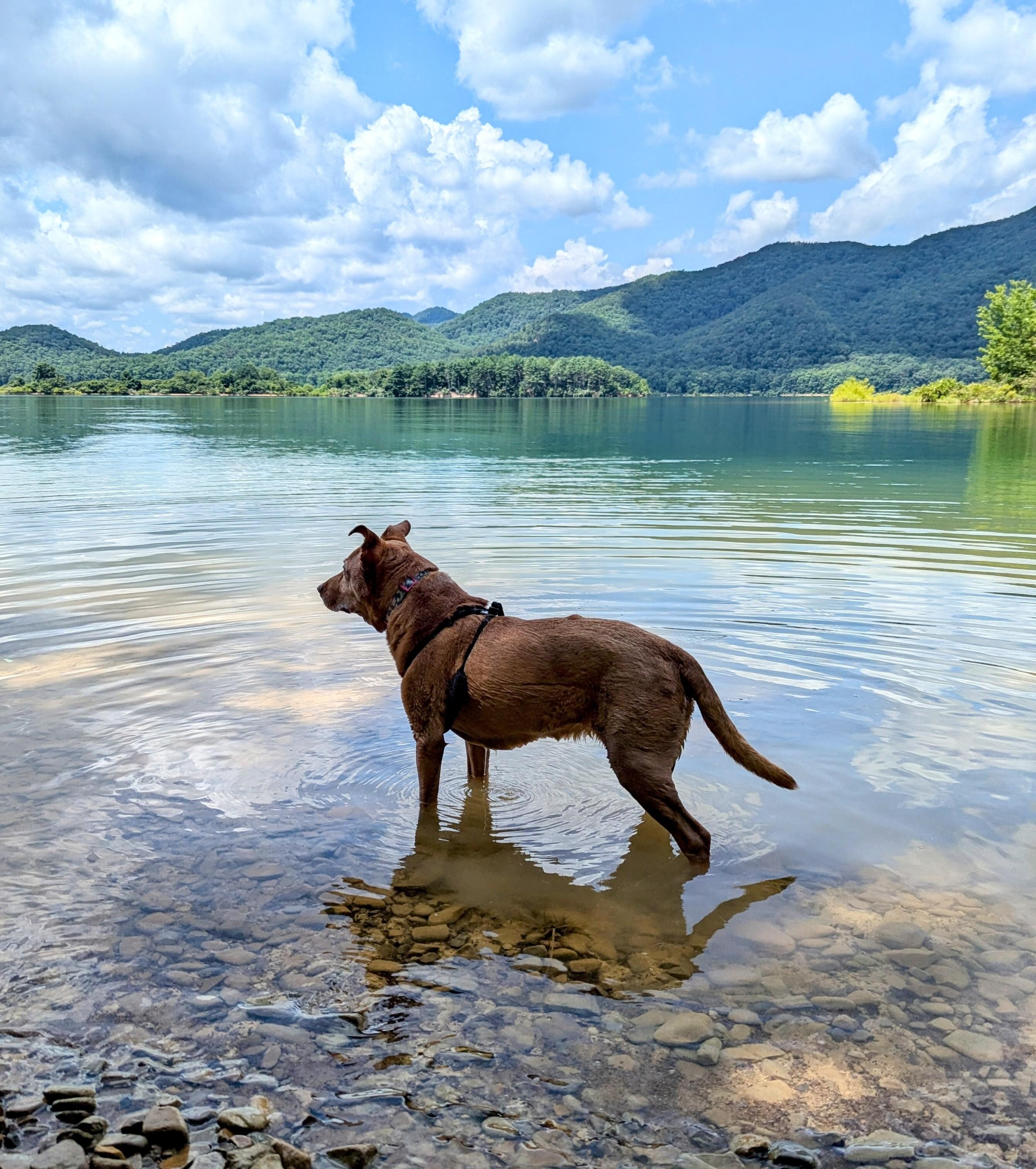 Lake Moomaw