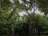 Rooms among the apple trees!