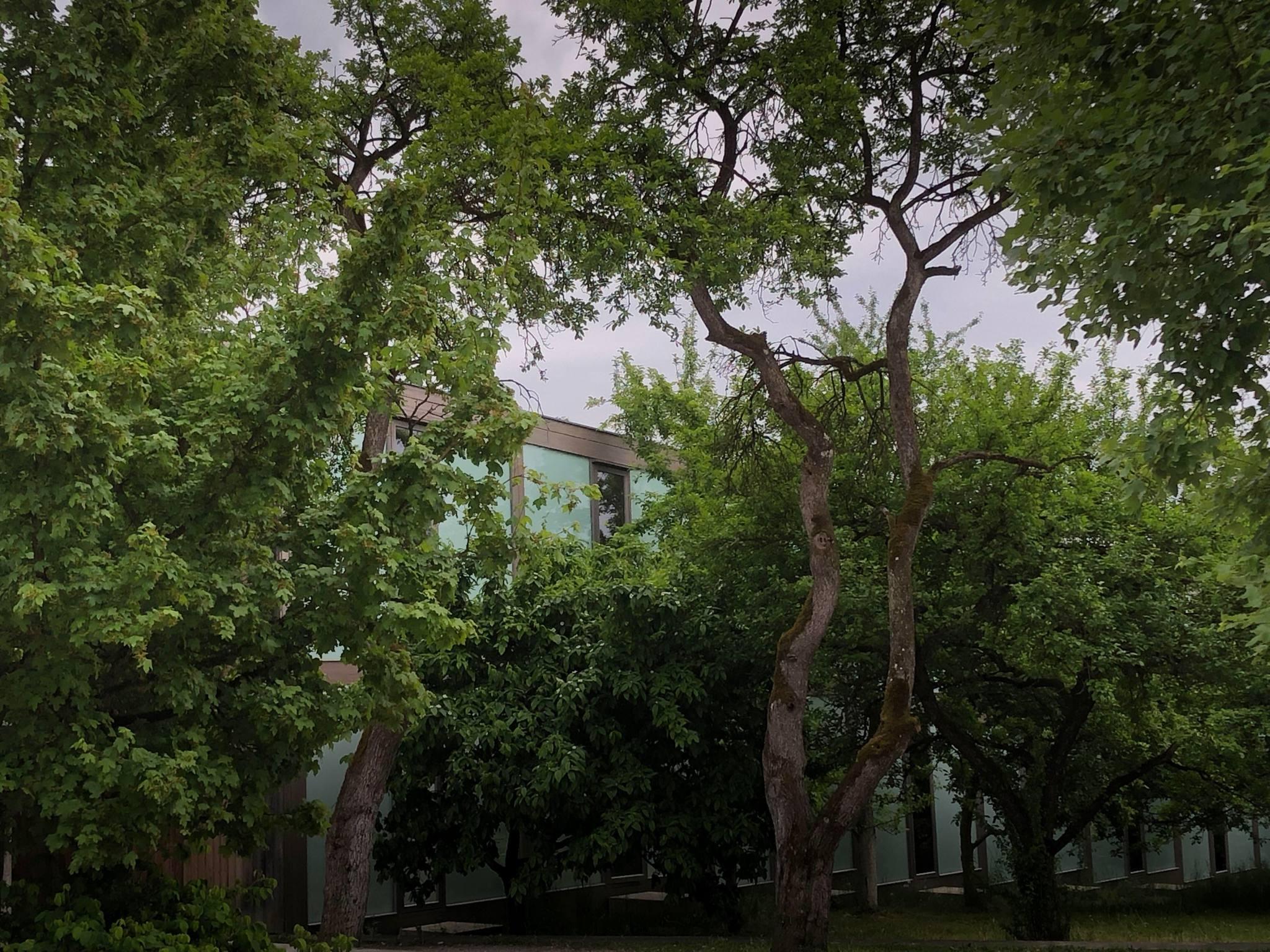 Rooms among the apple trees!