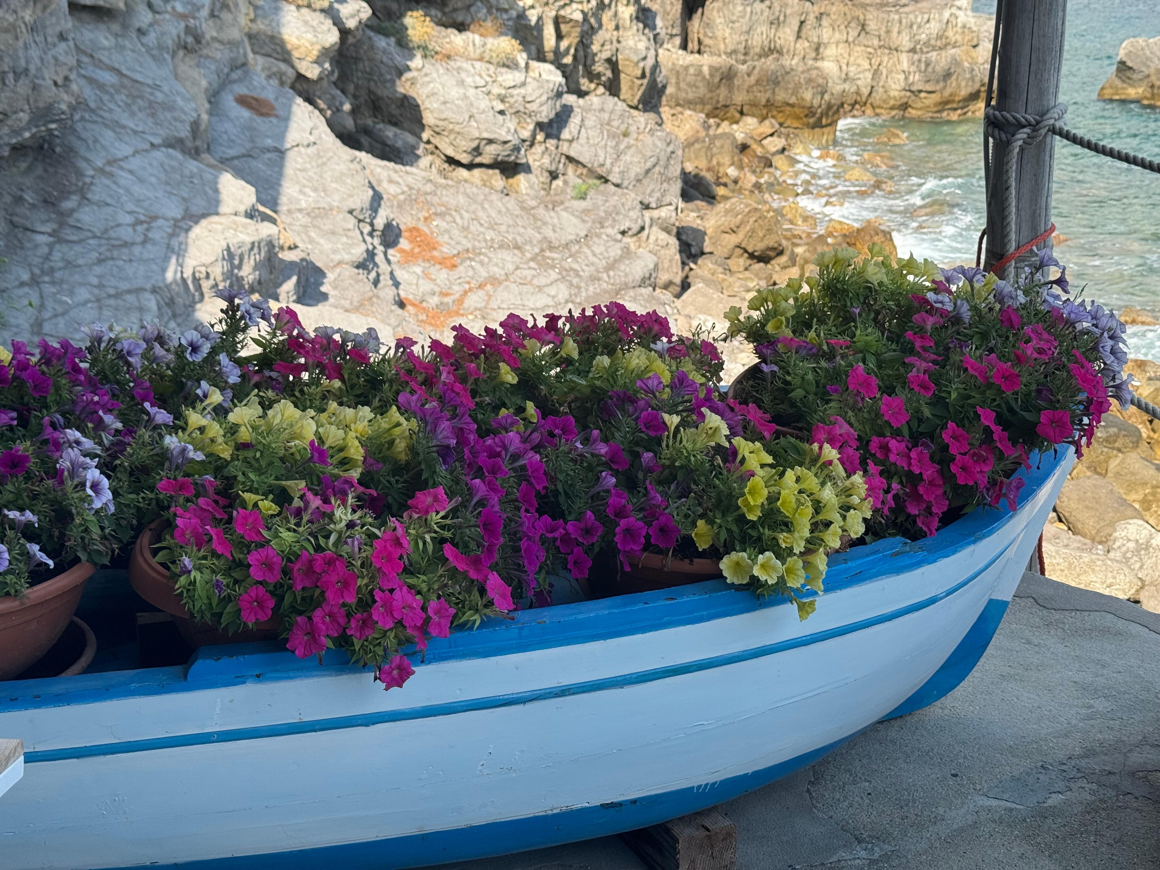 Garden boats by the sea 