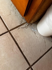 Dirty tile floors in the bathroom