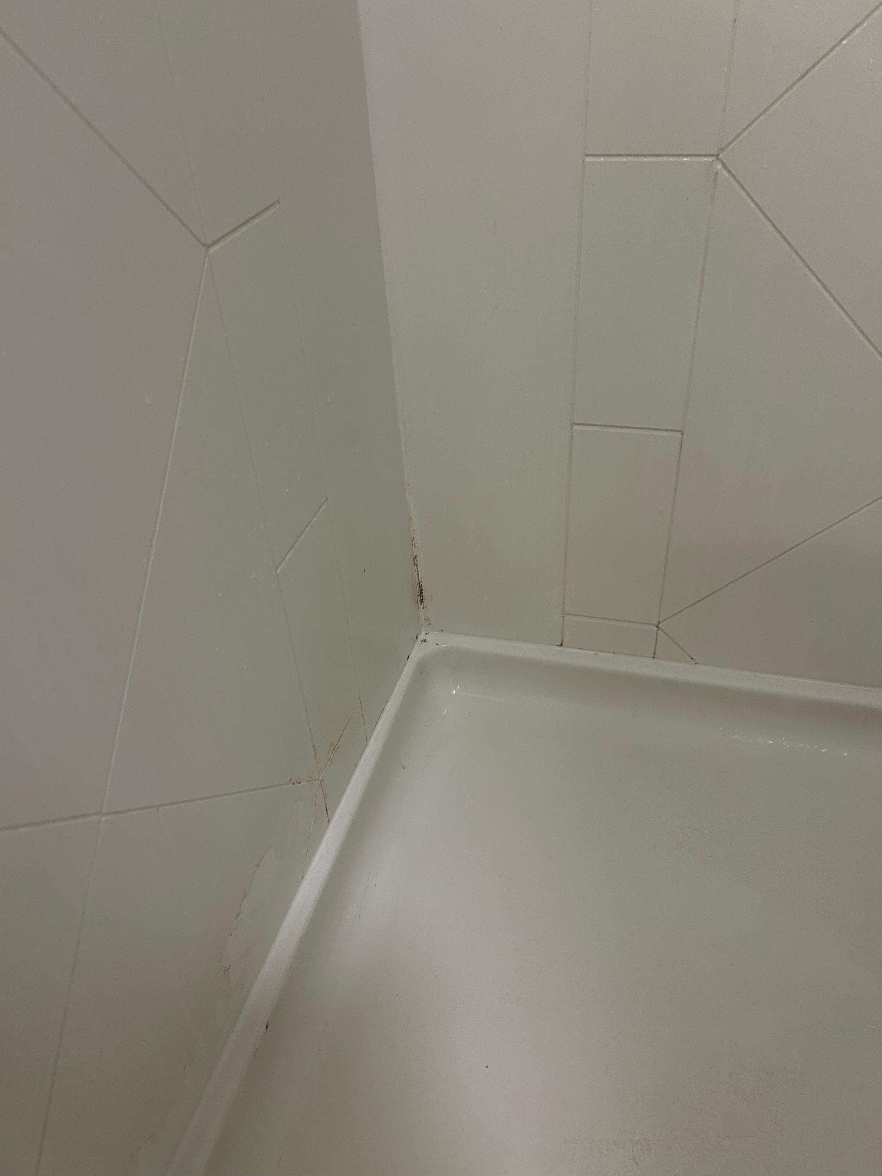 Shower mold