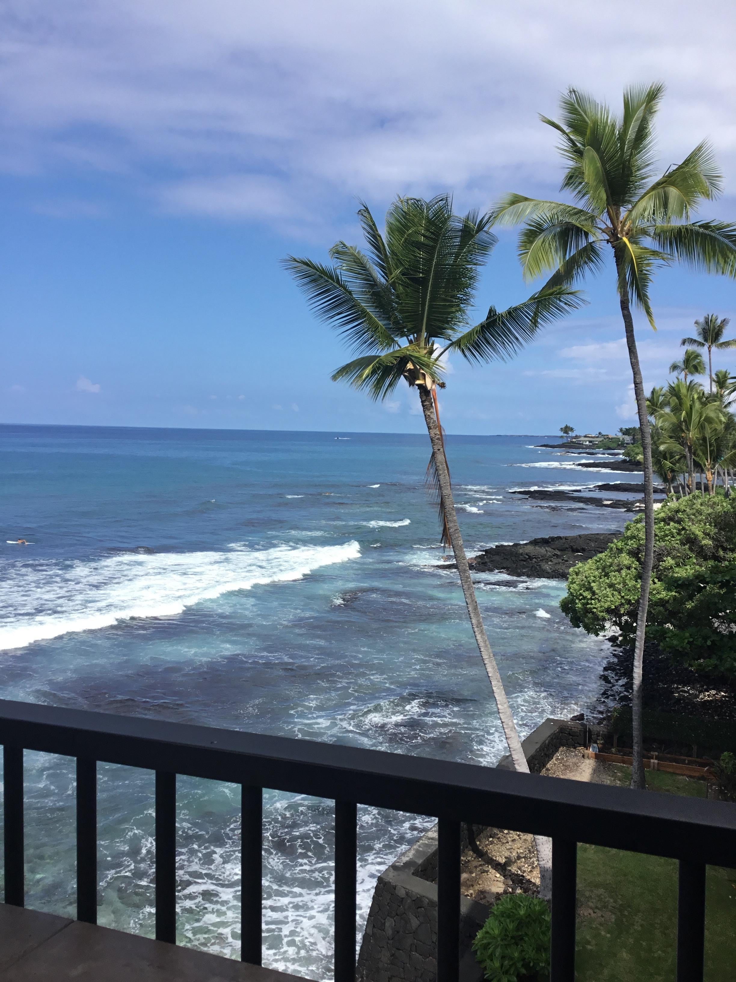 Looking North from lanai 