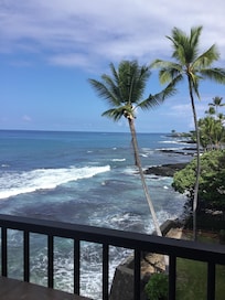 Looking North from lanai