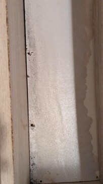 Mildew