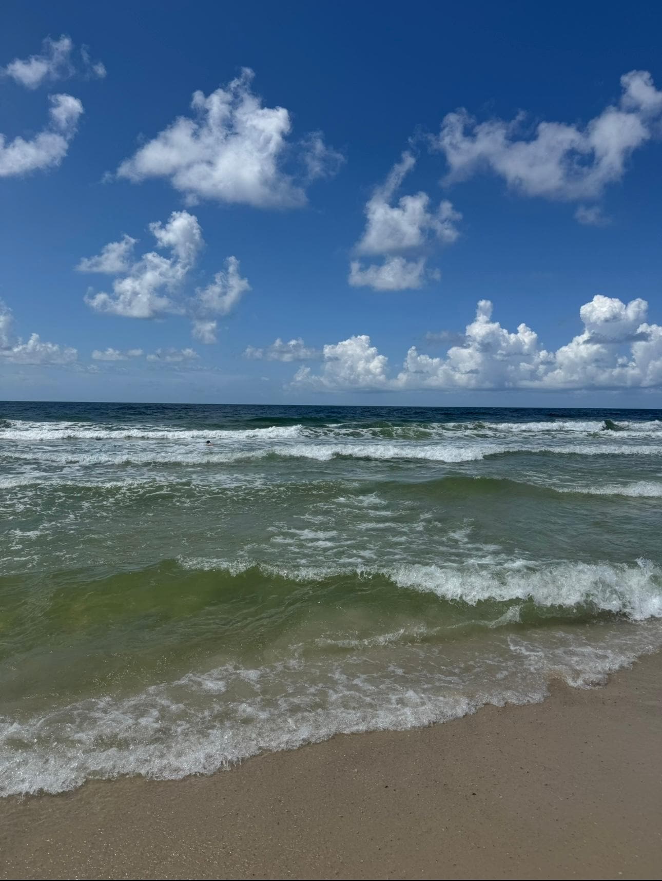 Beautiful first day! 