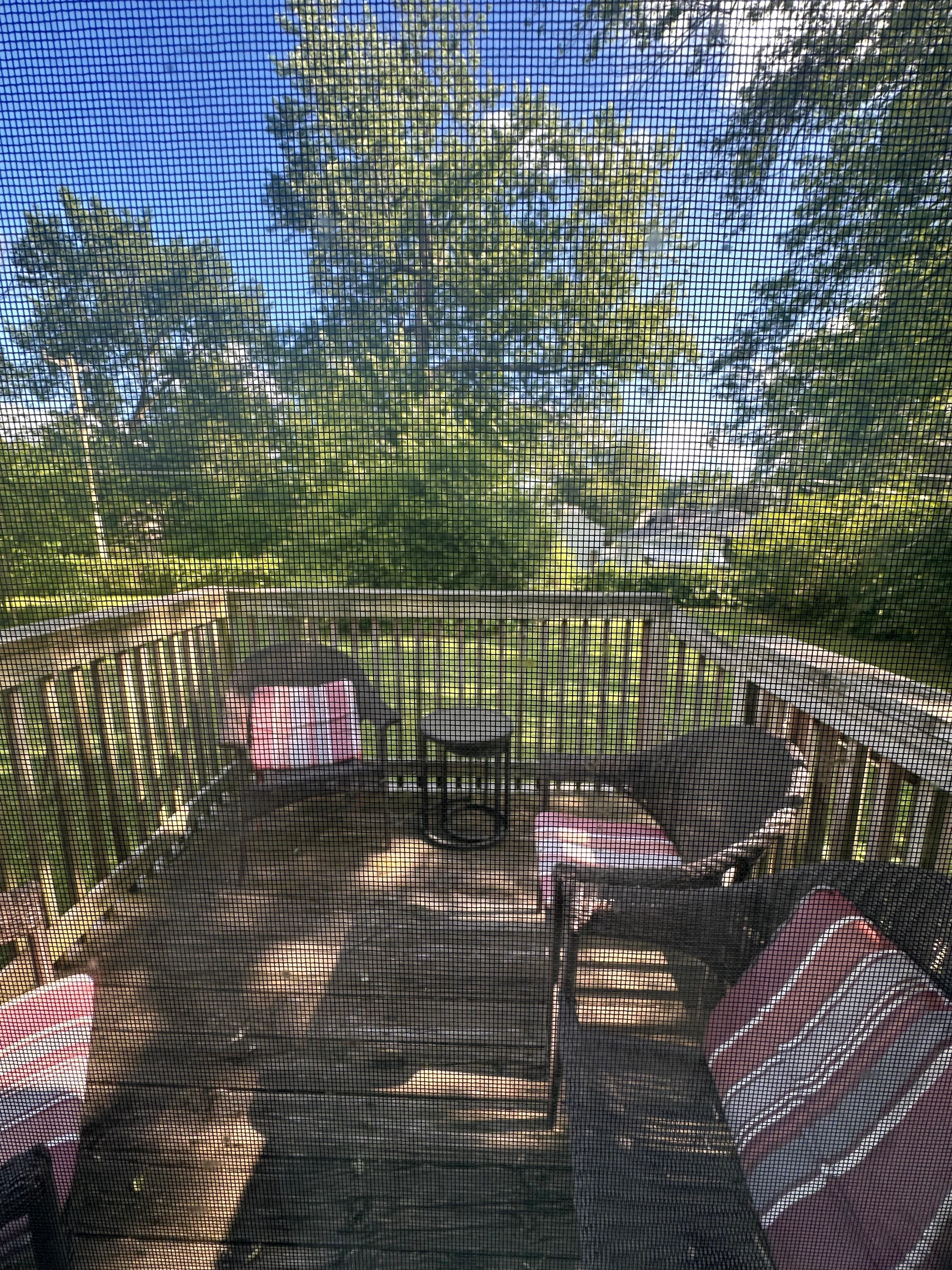 patio & backyard