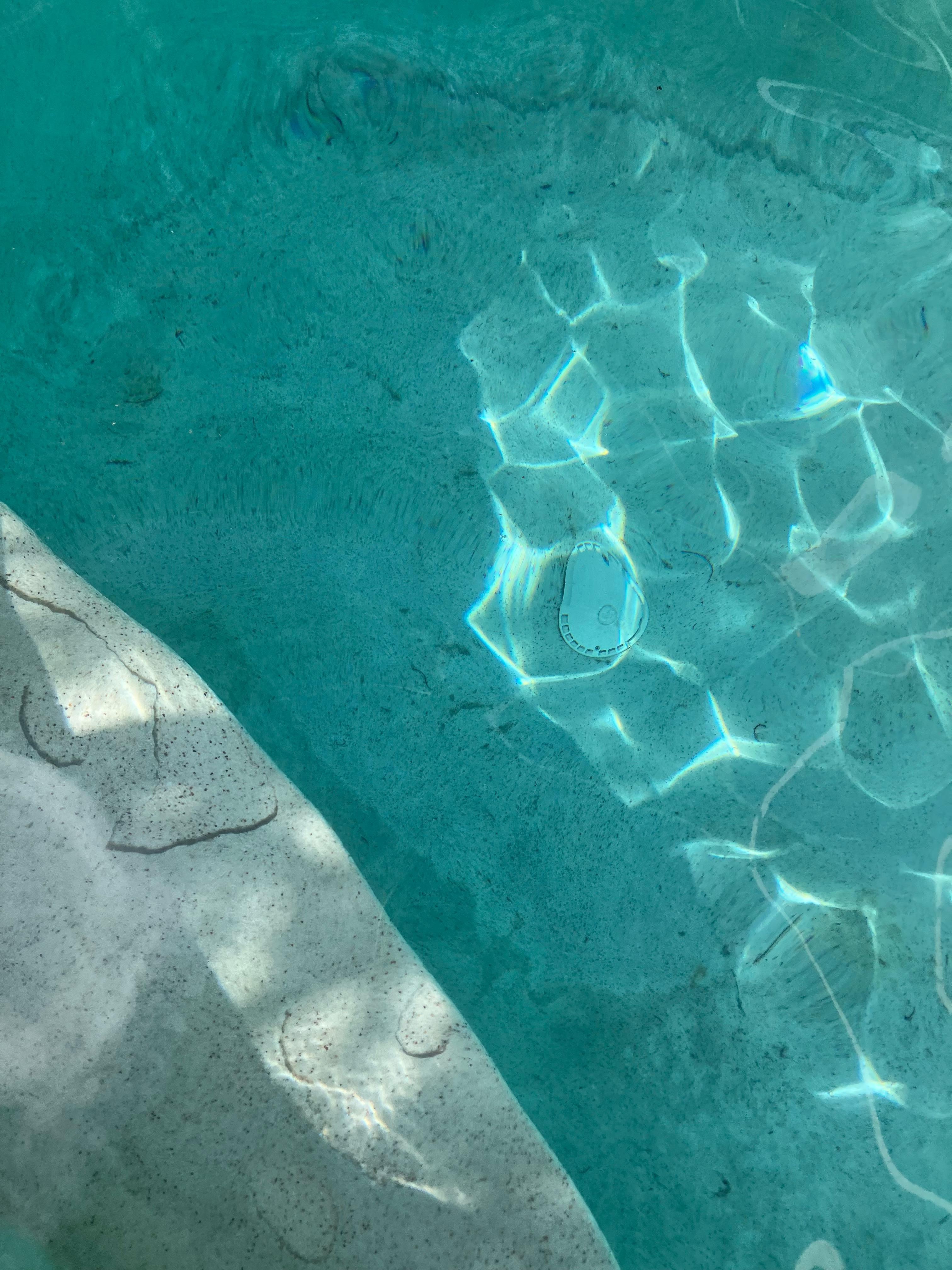 Pool was dirty throughout with dirt and debris. Bottom of pool had not been cleaned prior to our stay.