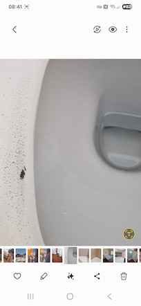 Damaged toilet seat