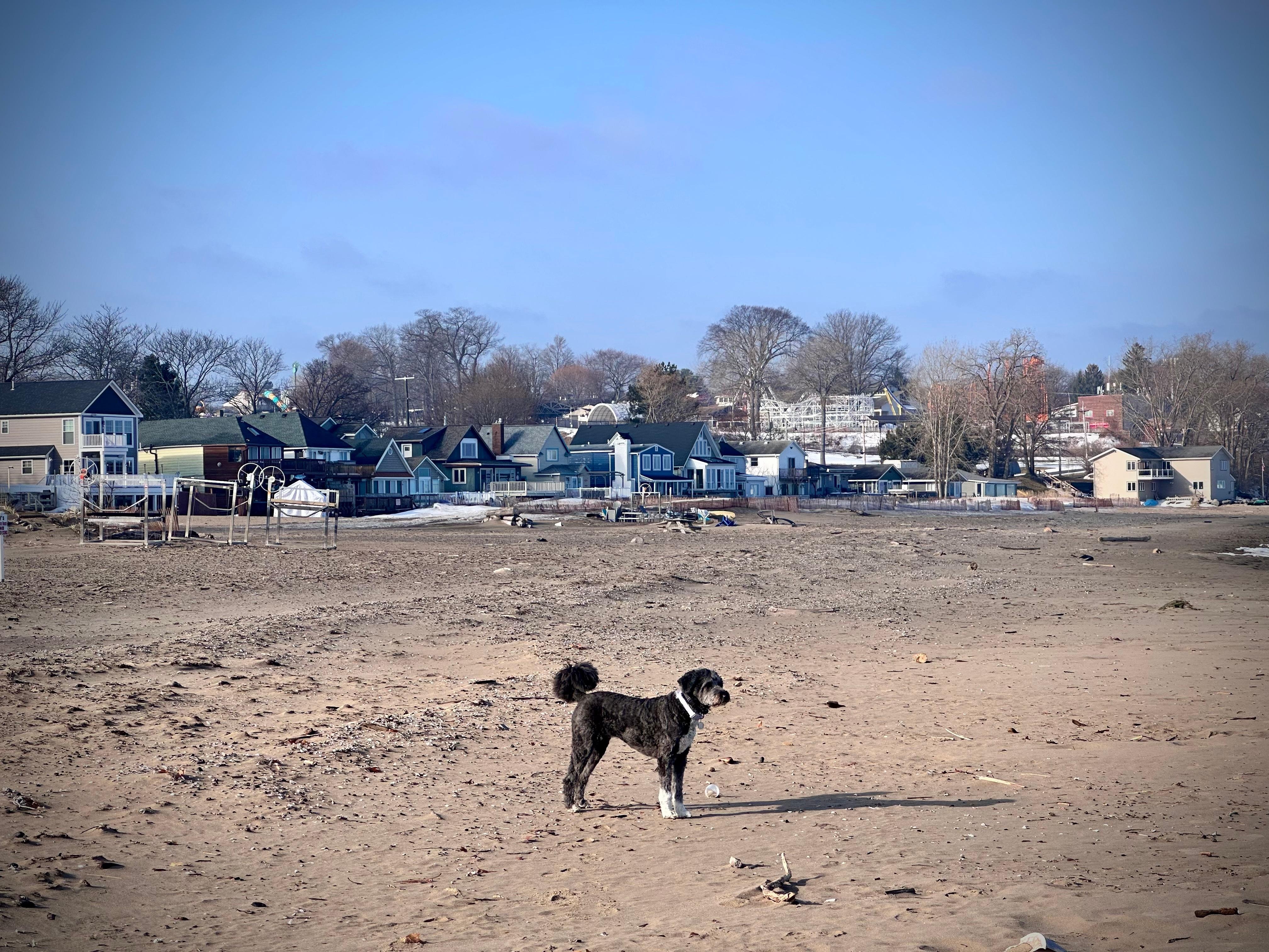 The most important part - about happy guest!