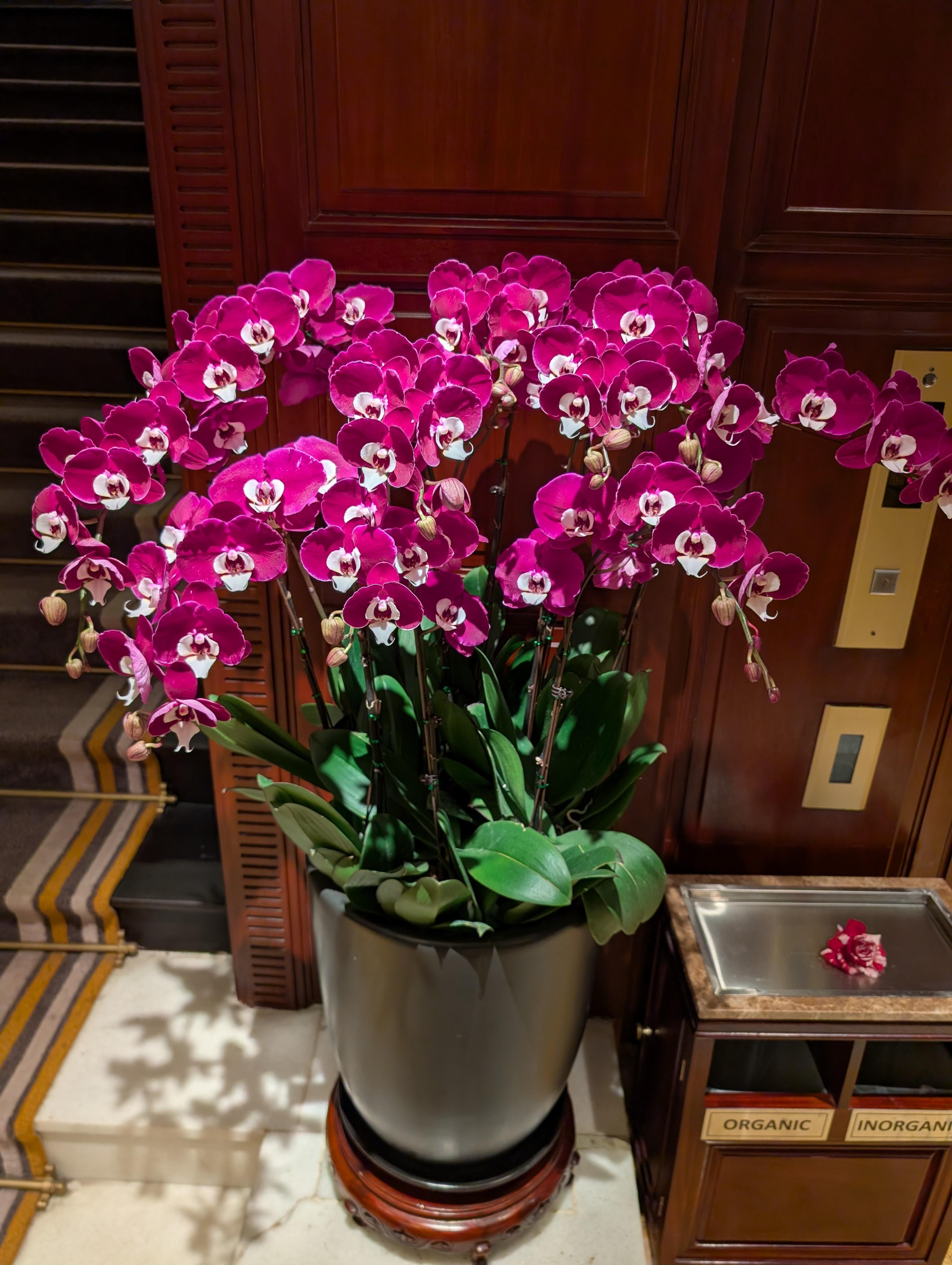 Lobby is beautifully maintained
