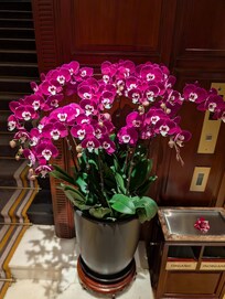 Lobby is beautifully maintained