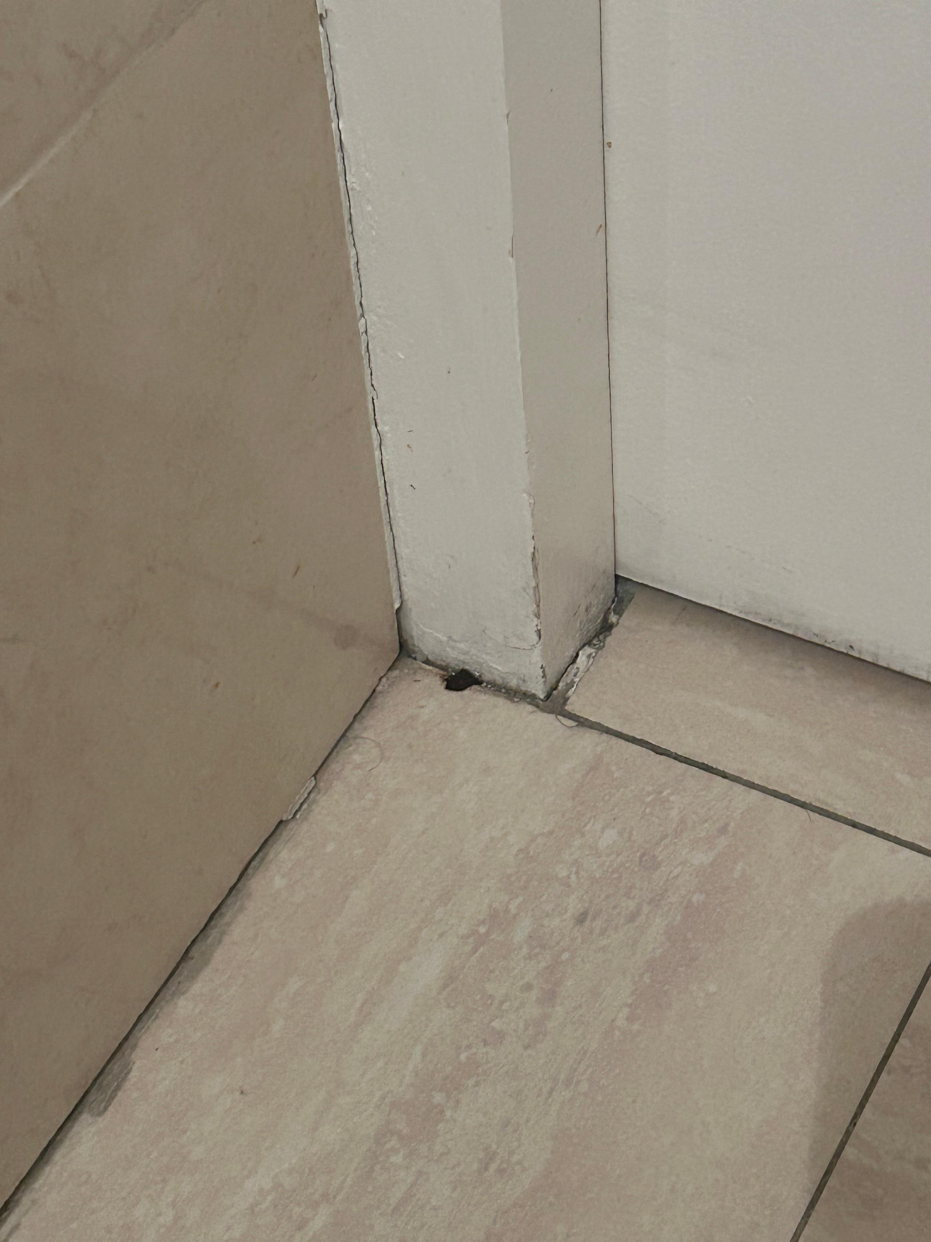 Mold in bathroom