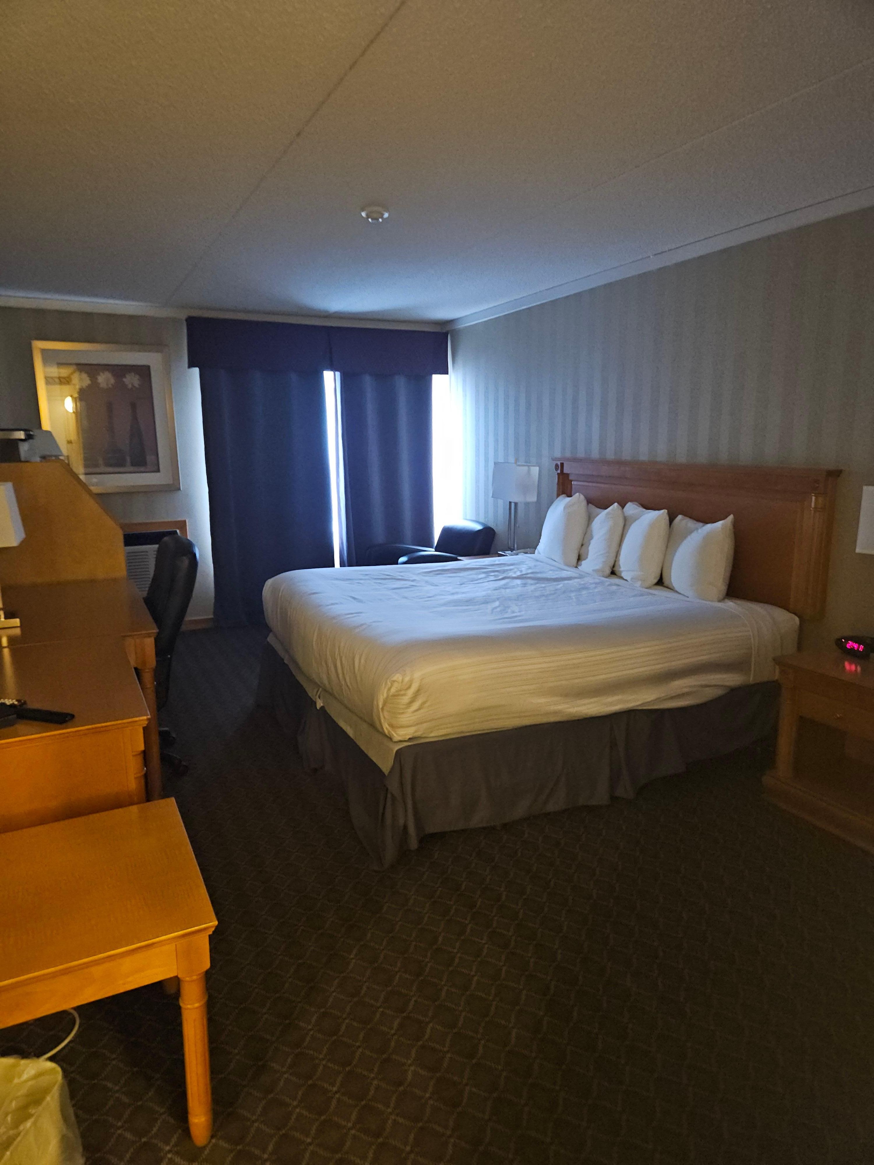 Room was very spacious and clean