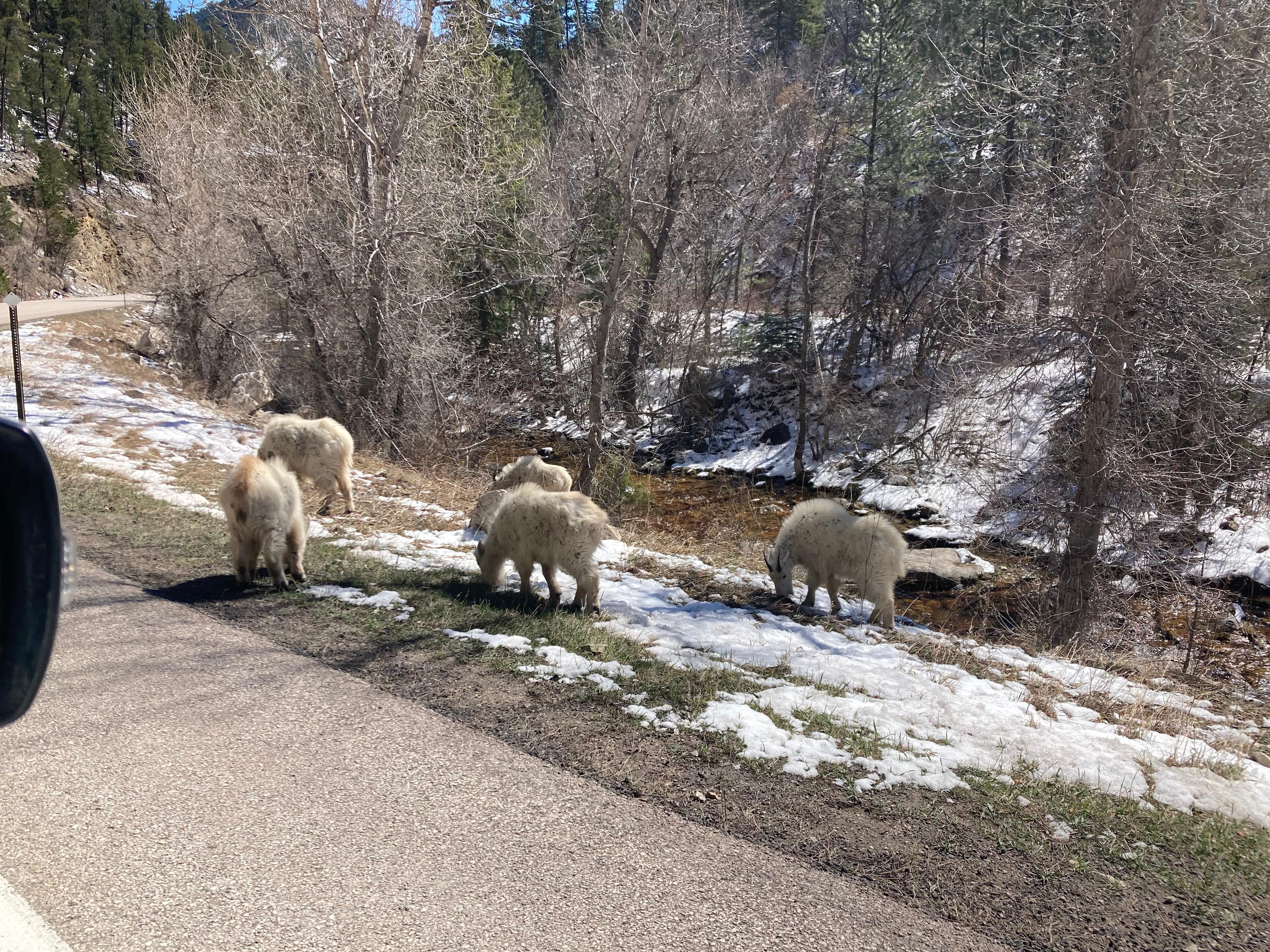 Spearfish Canyon