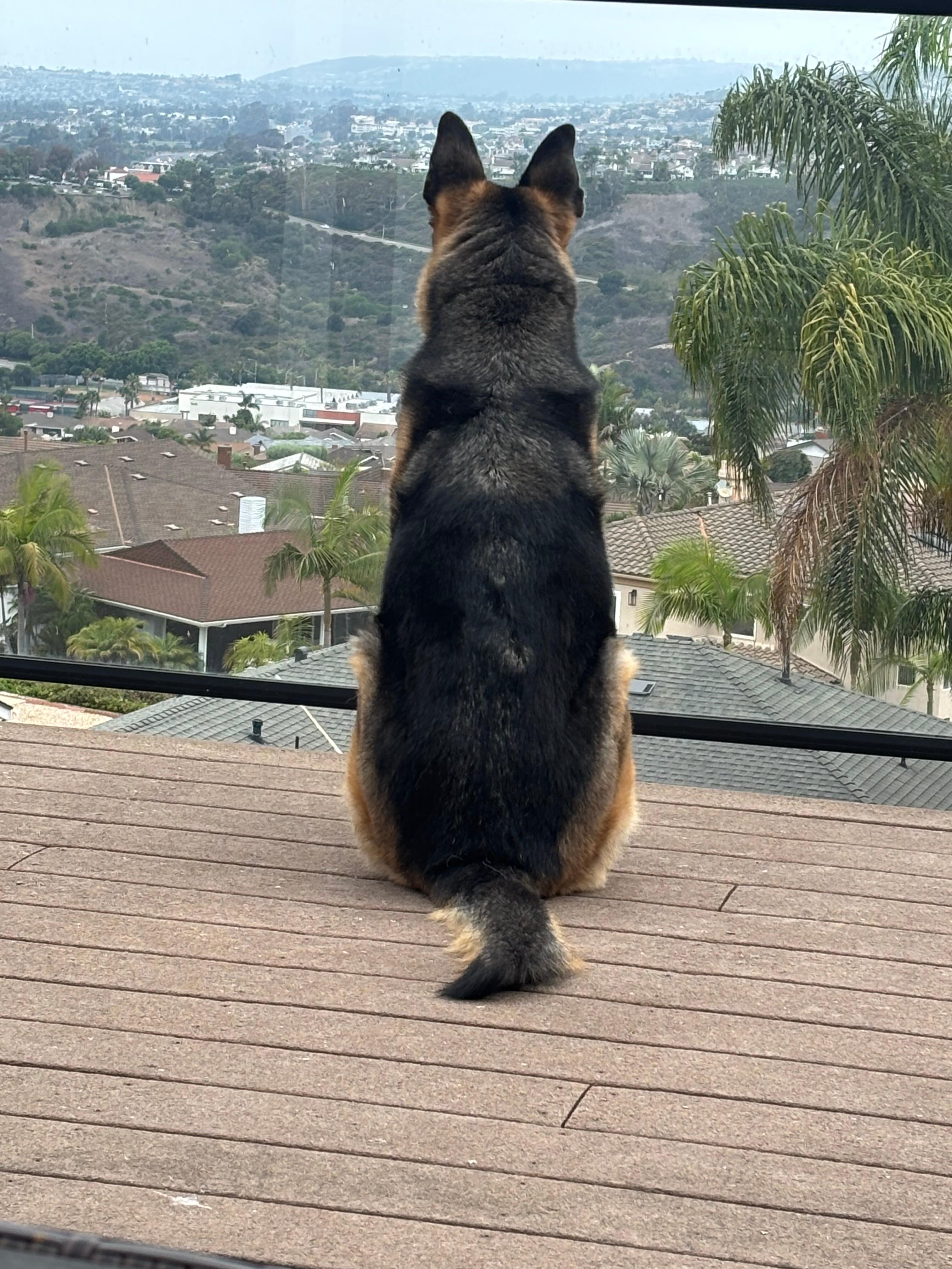 Zoe loved the view