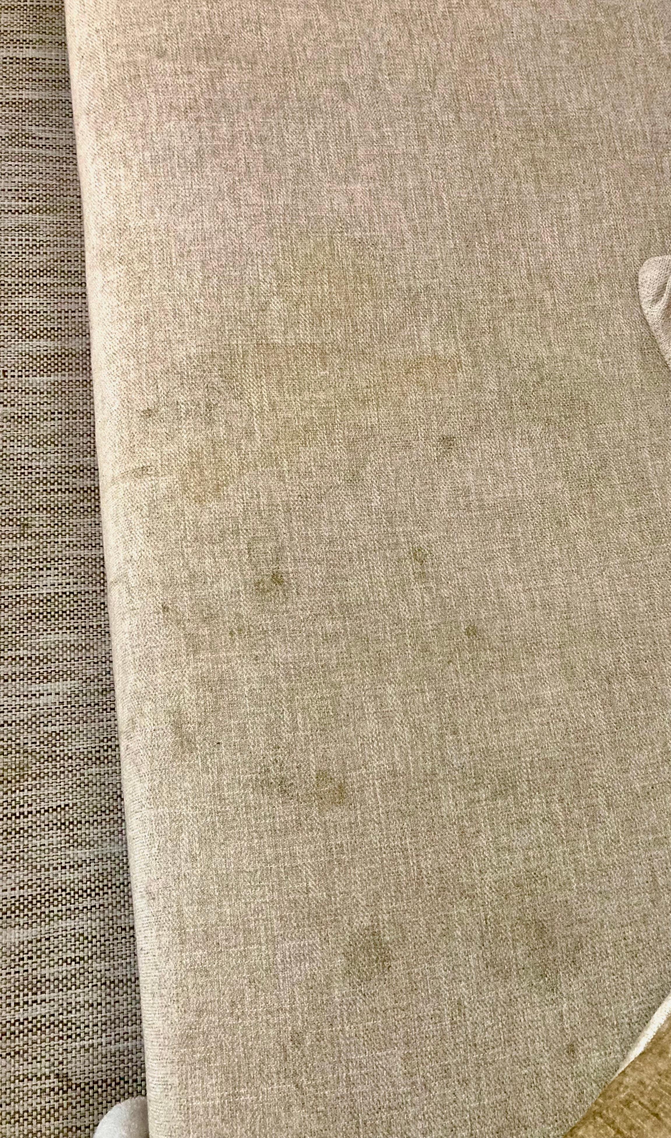 Stained couch