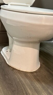 Room 204. Dirty toilet