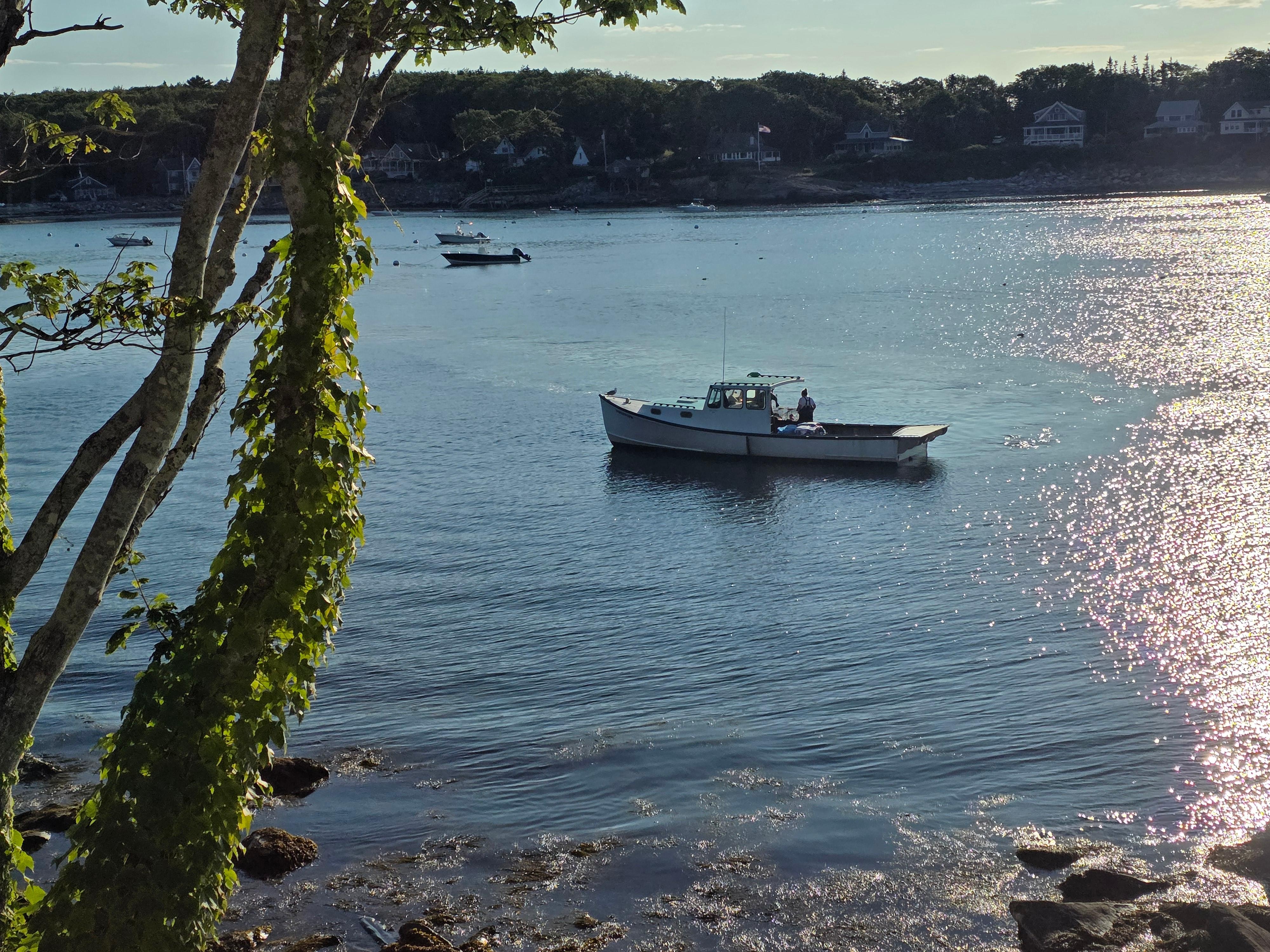 Watching a lobster boat check his traps from our bedroom window.