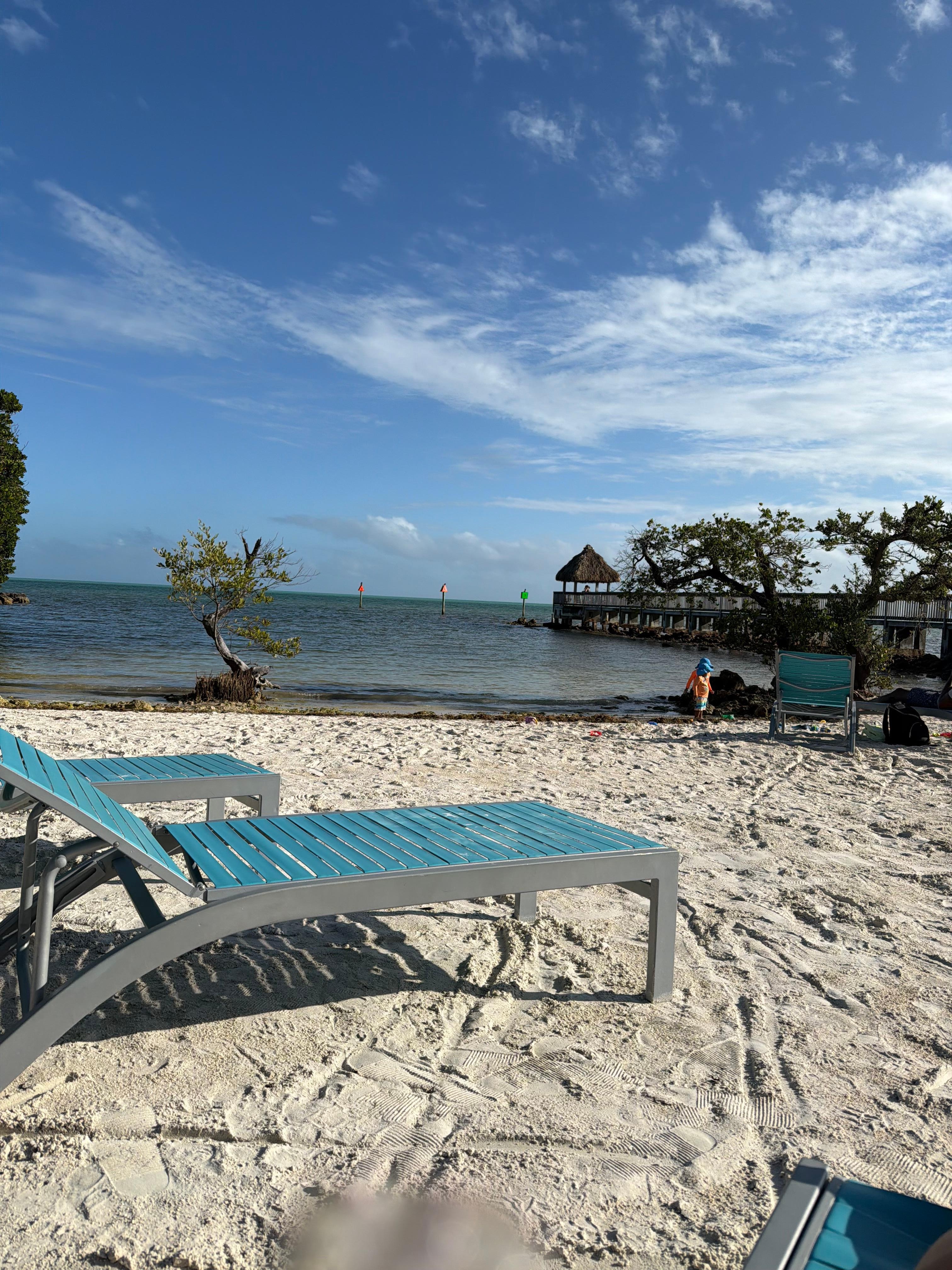 Beach area next to the marina. 