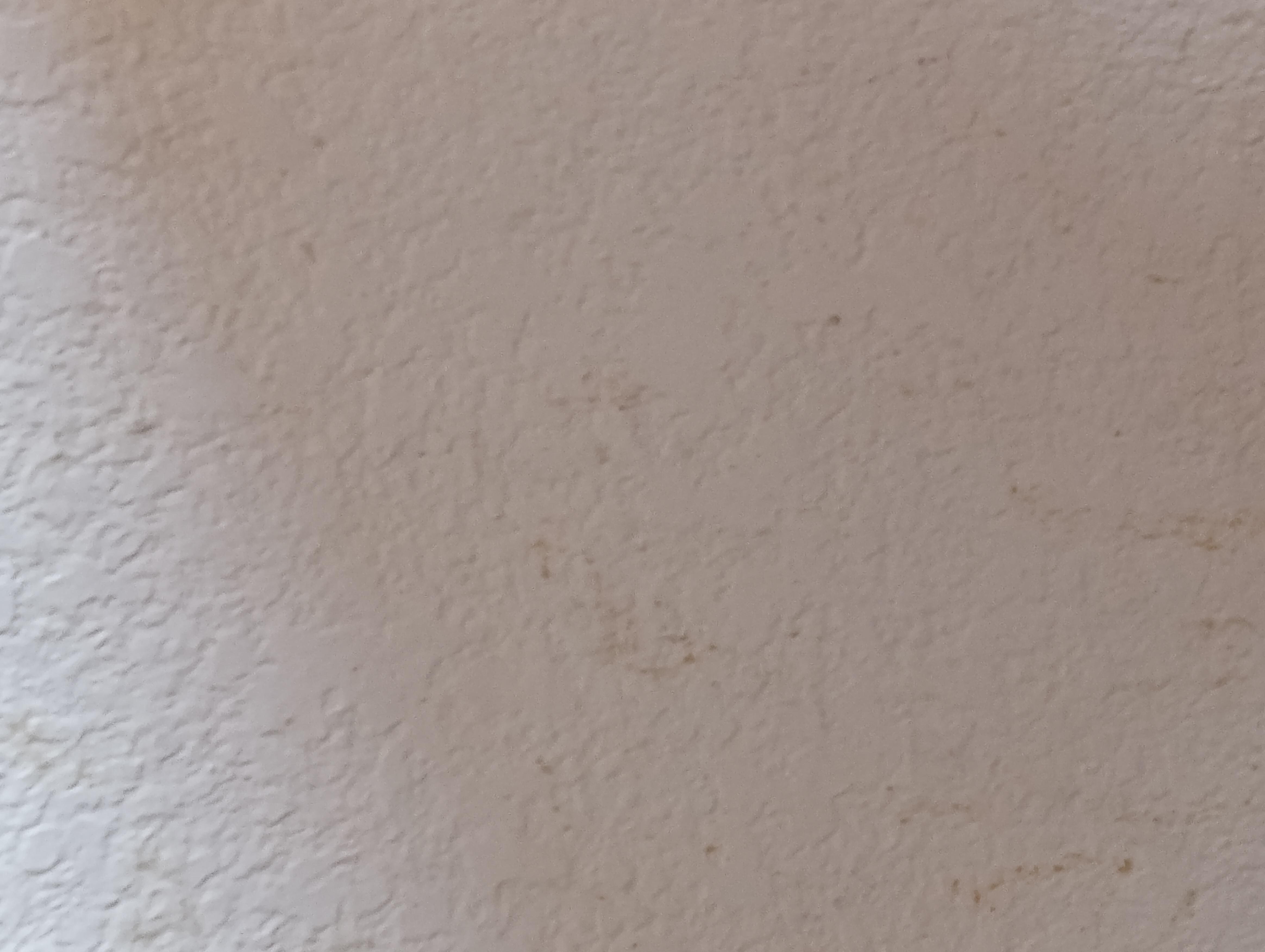 Pee spots on the wall near desk.