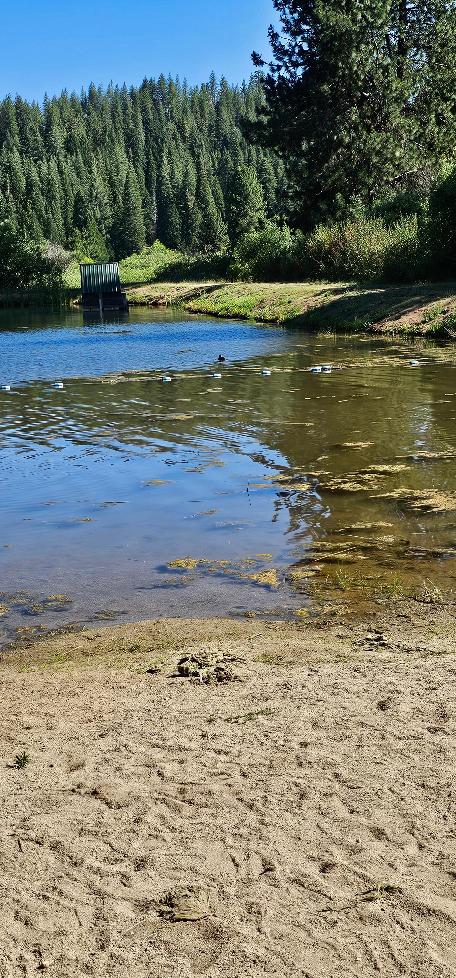 Pond