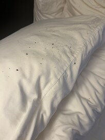 Particles from headboard on the pillows