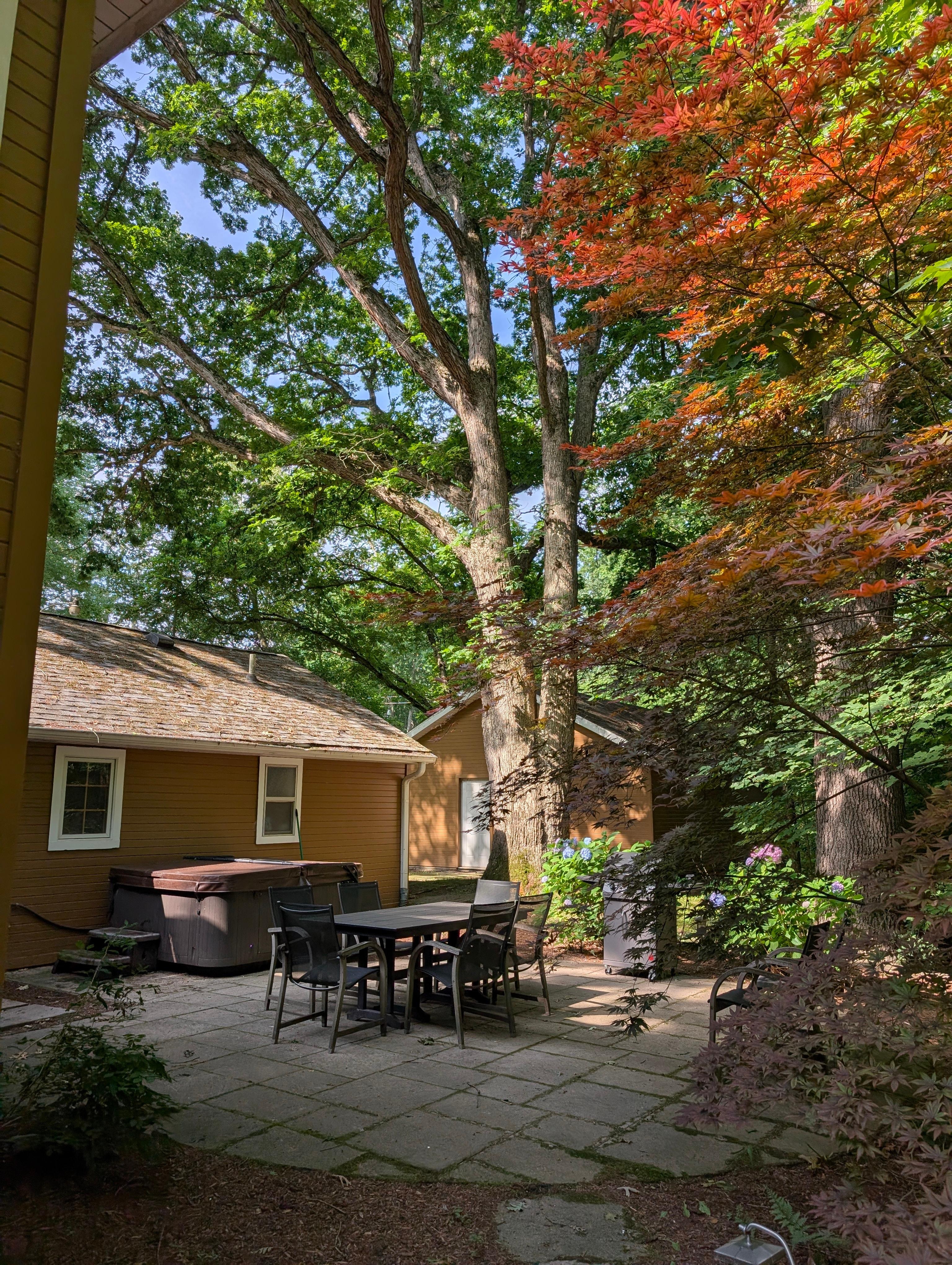 Private backyard area.