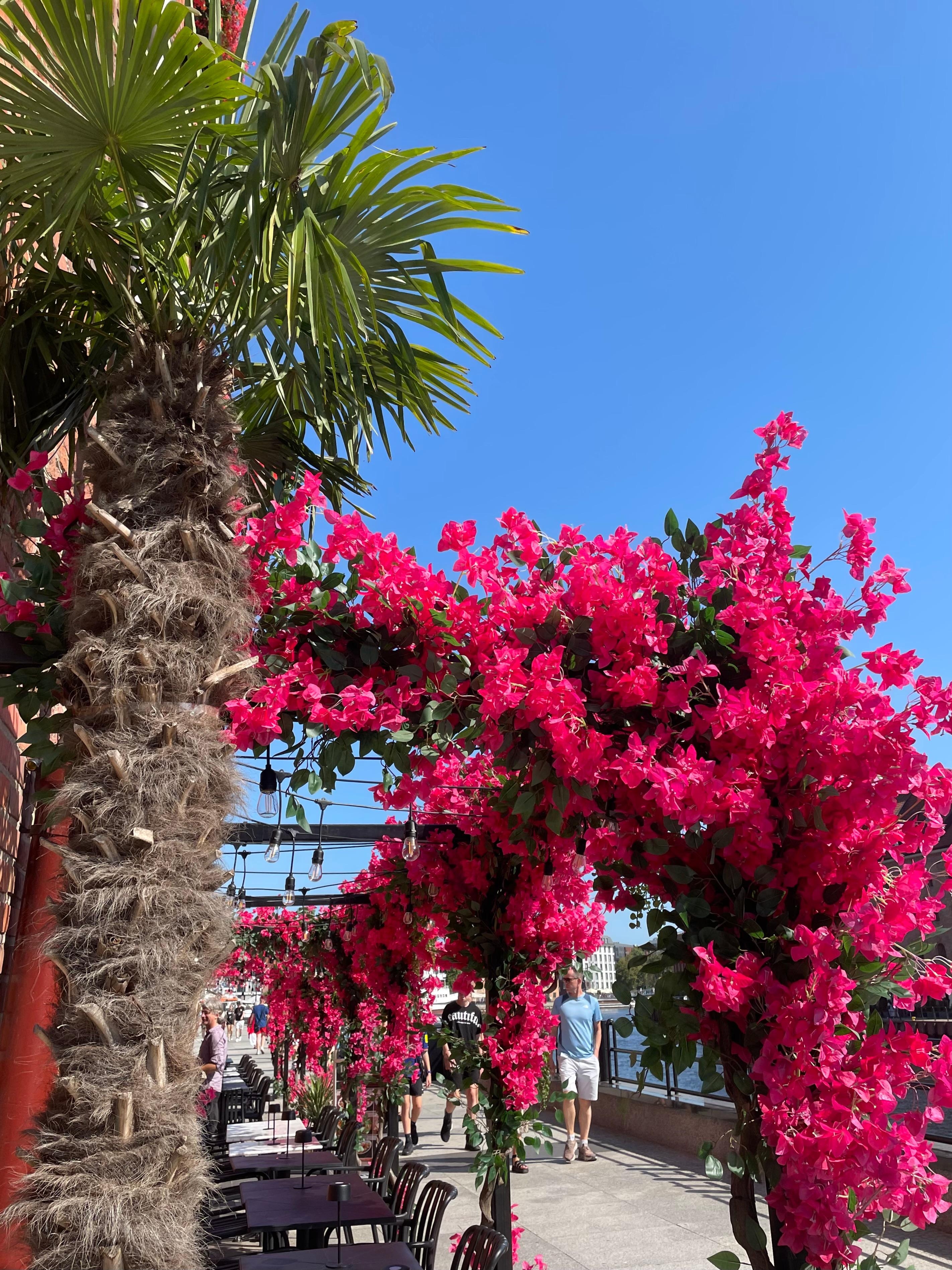 Nydelig terrasse🌺