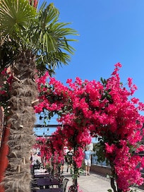 Nydelig terrasse🌺