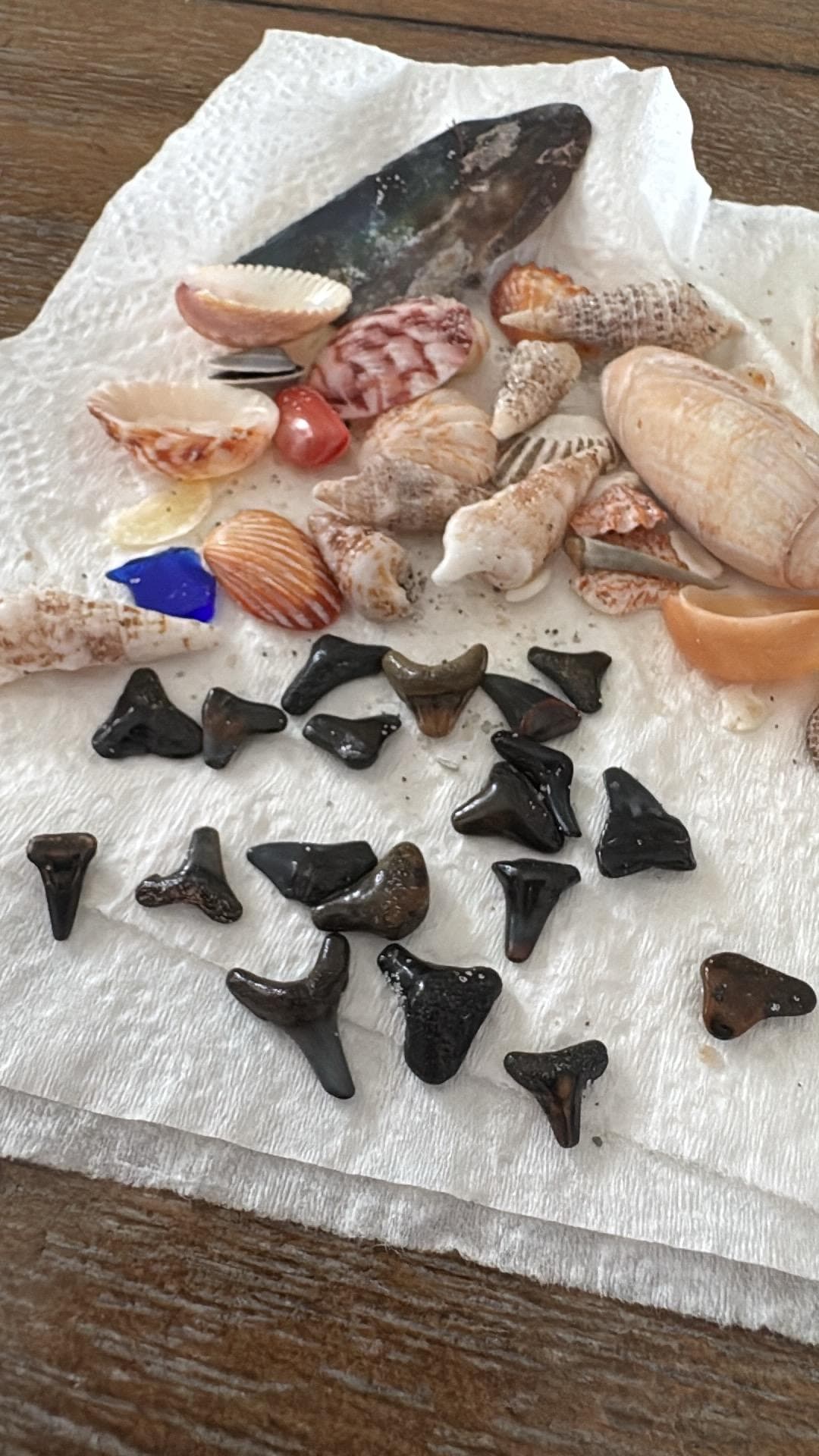 I would rather be shelling