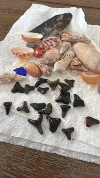 I would rather be shelling