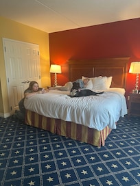 Pups loving the digs