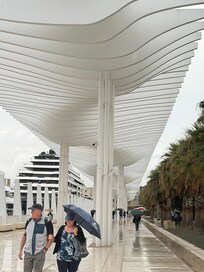 Walk along the port.