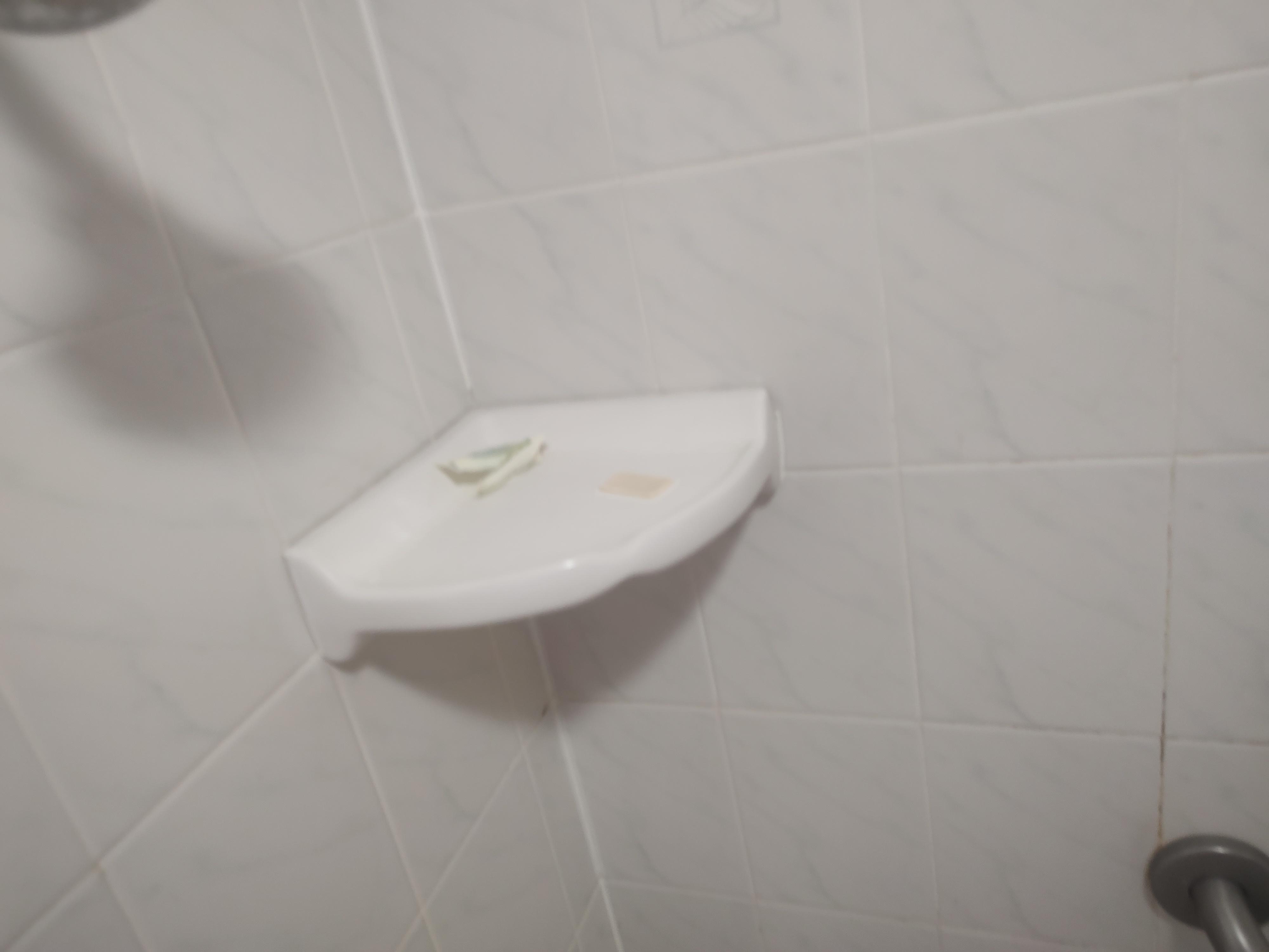 This is the way I found the shower, the bathroom sink had dried vomit in it.