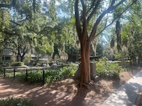 The Spanish moss was fascinating!