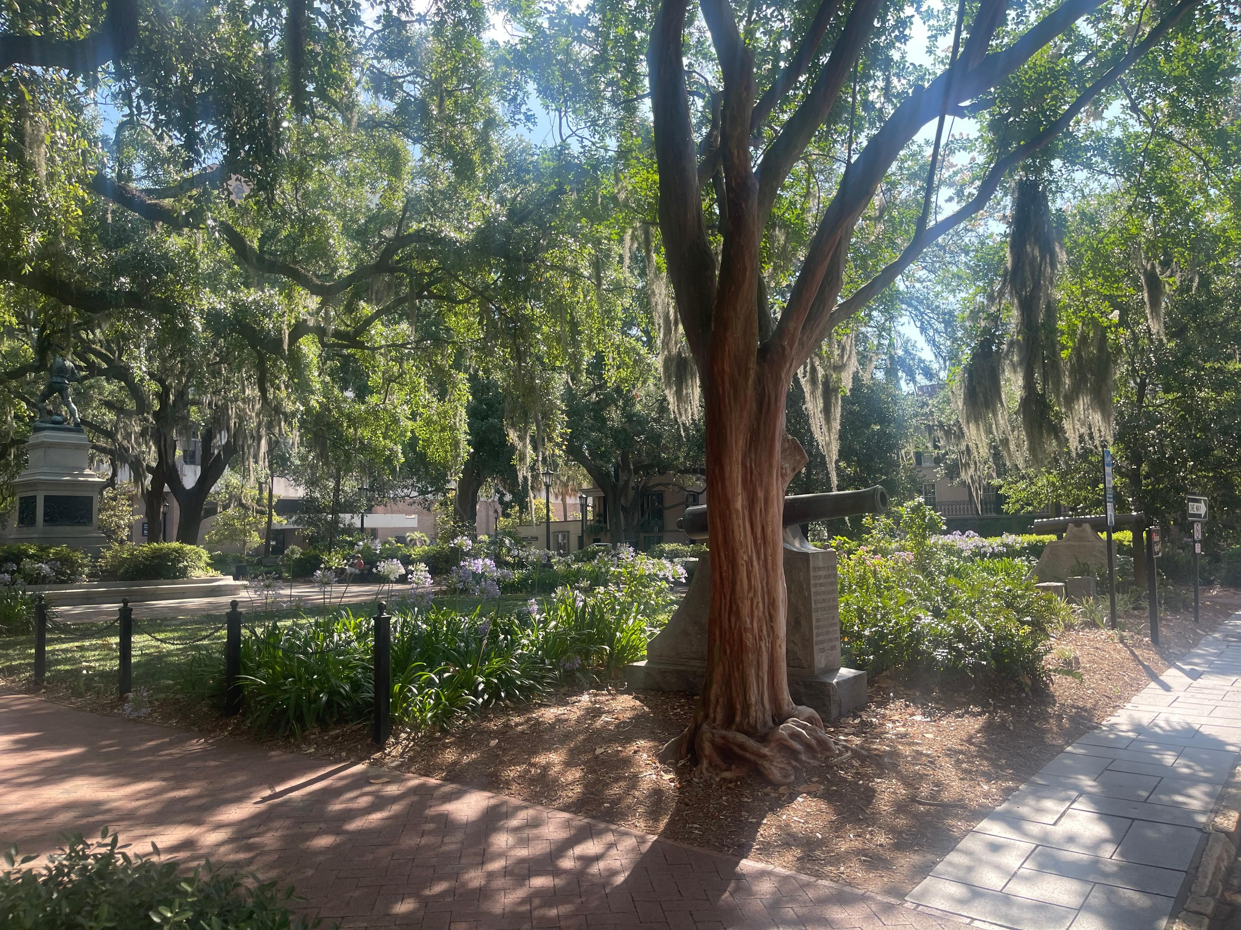 The Spanish moss was fascinating! 