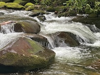 Nearby hiking (grotto falls area)- about 20-minutes from cabin