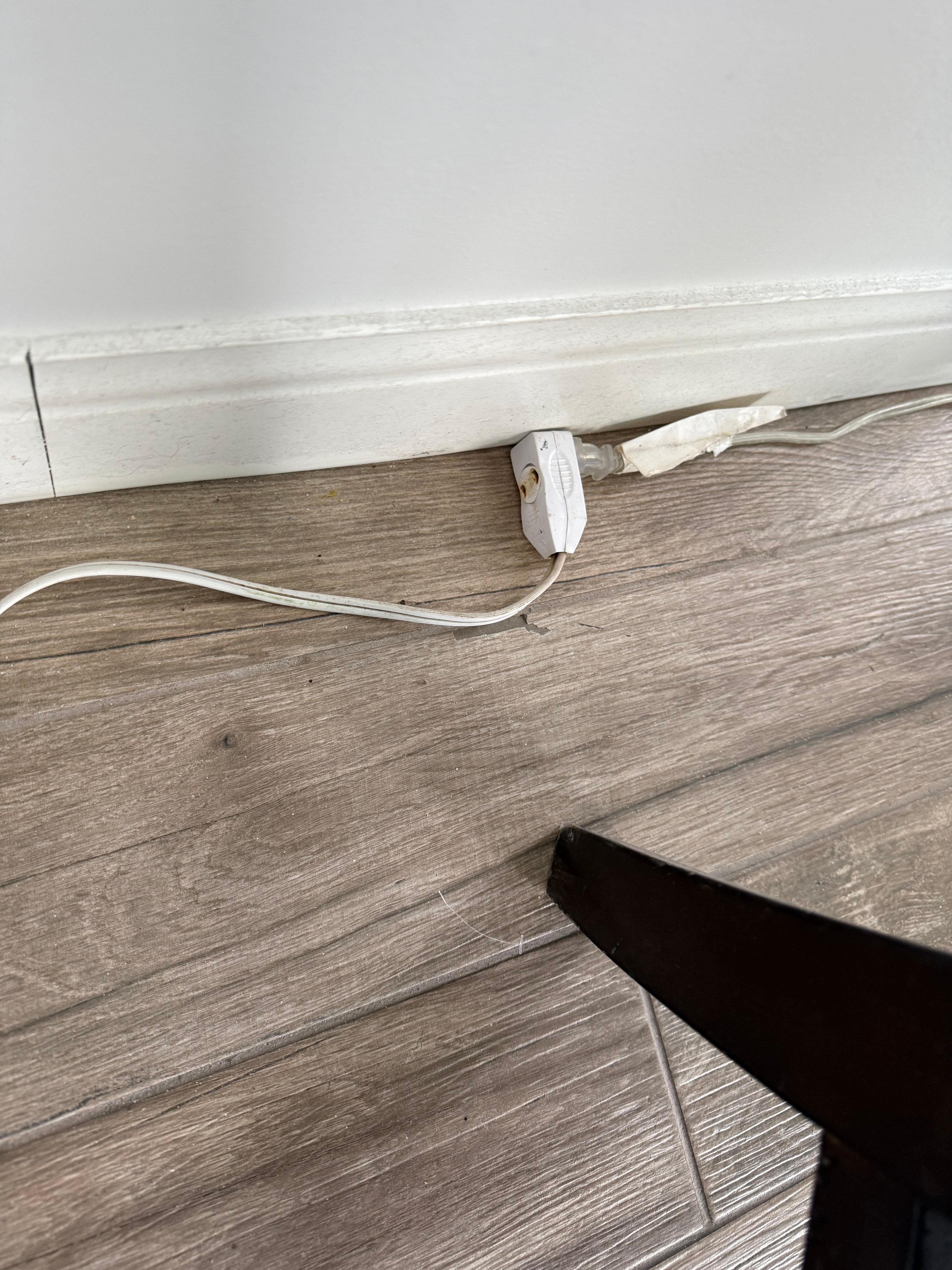 This is the extension cord that the lamp is plugged into and as you can see, it is fried like it had been an electrical fire 