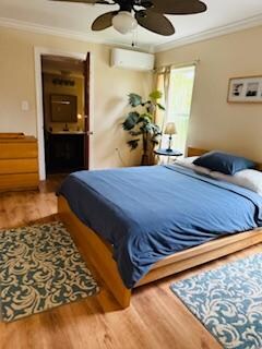 the 1 bedroom apartment downstairs