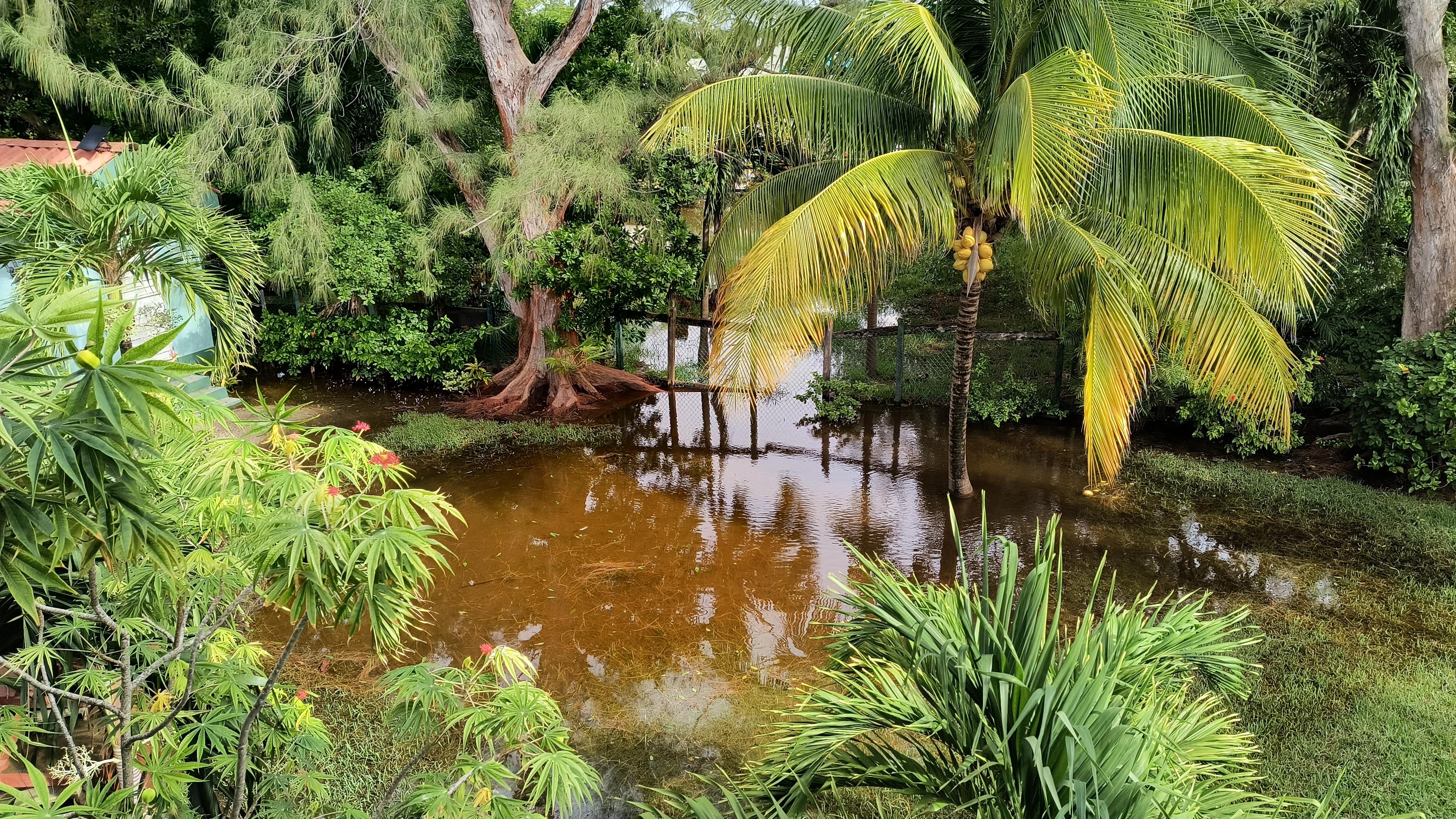 It rained hard overnight and the yard had water in it the next morning.