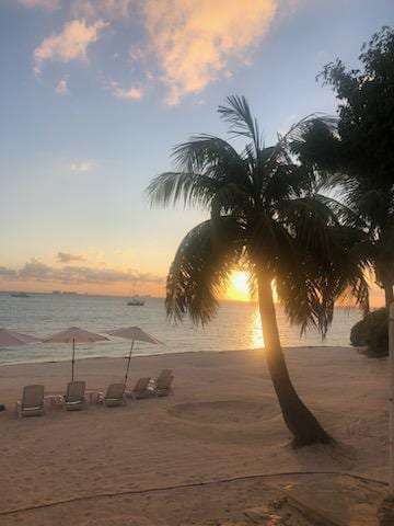 Amazing sunsets