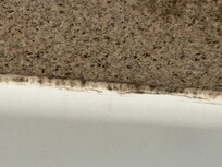 Mold in the shower
