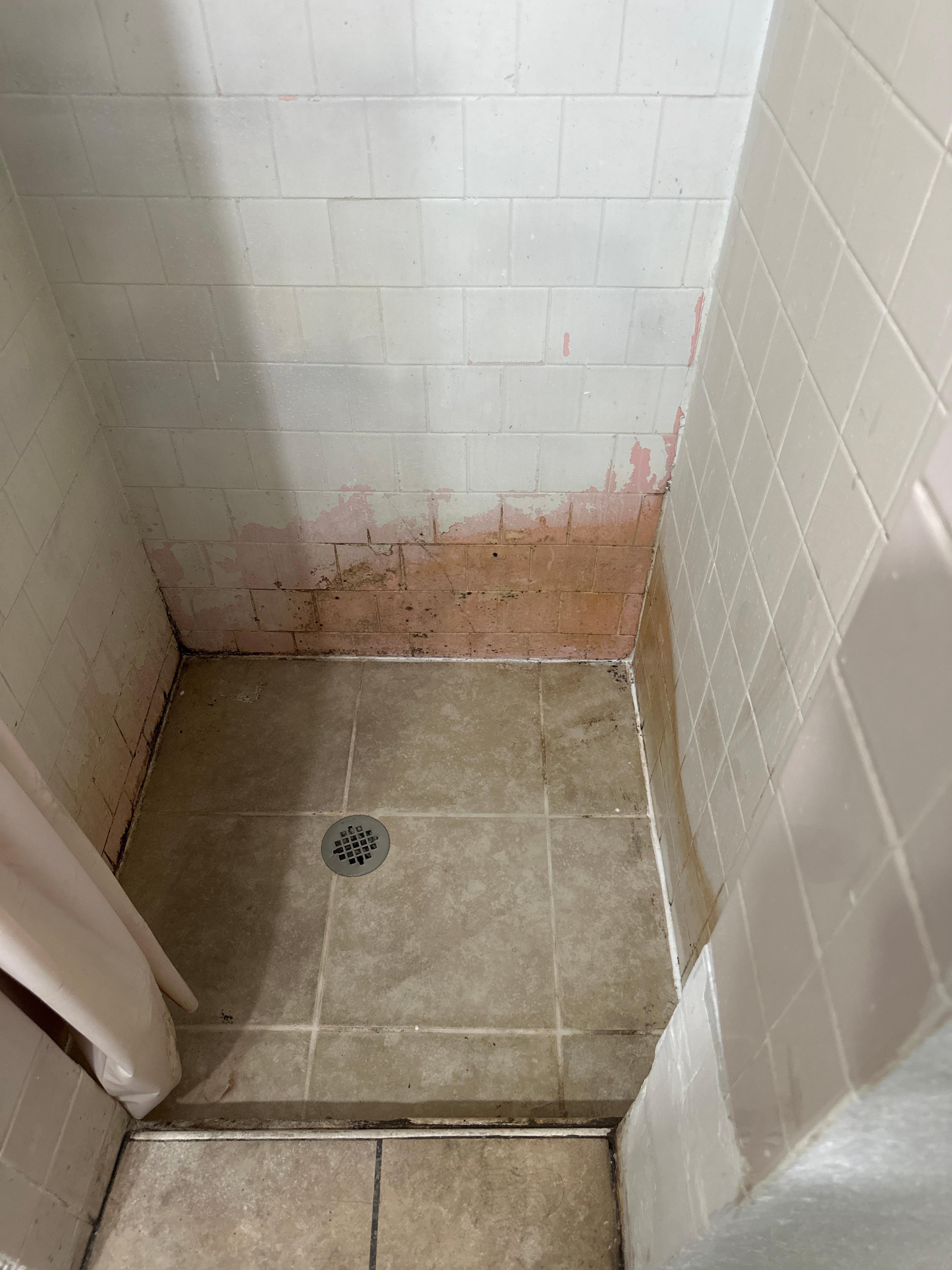 The reason I wore my shoes in the shower. 