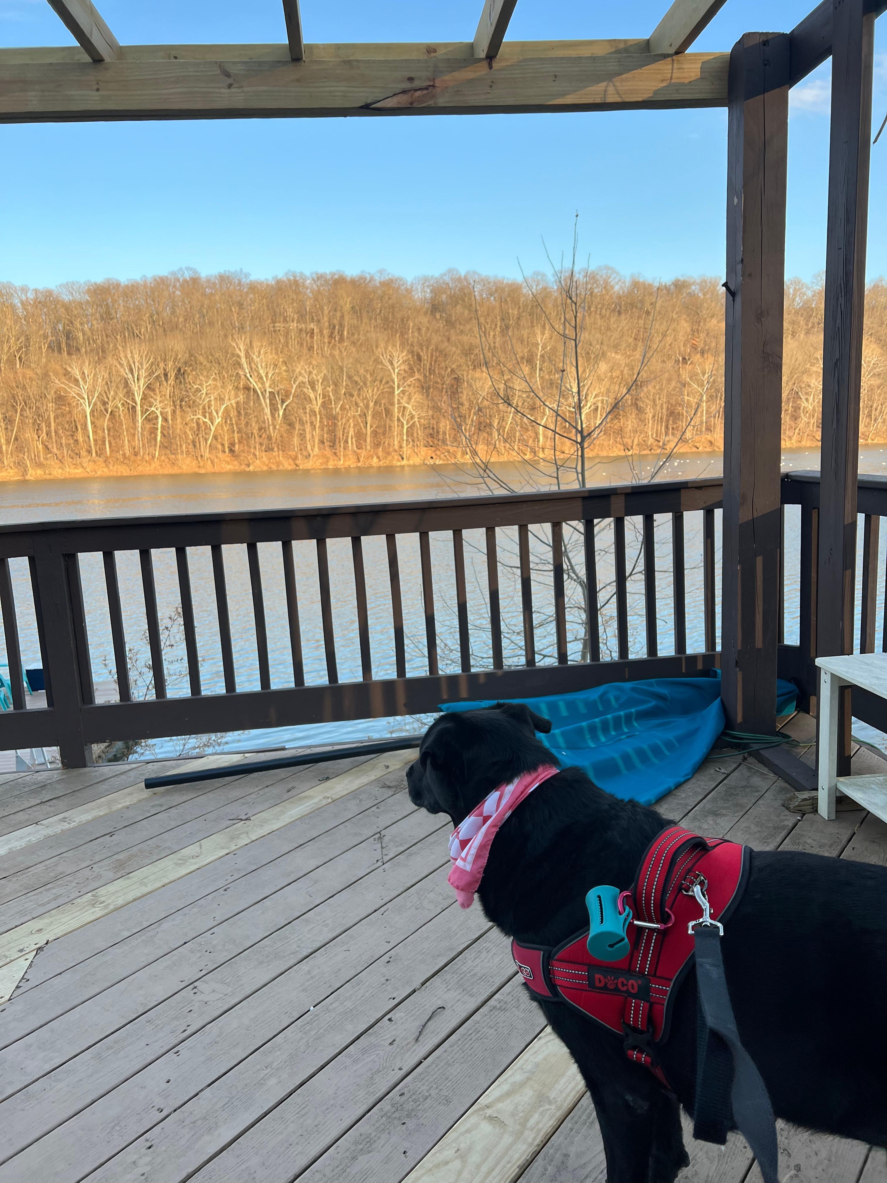 Private dock just across the street from the house