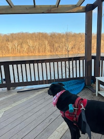 Private dock just across the street from the house