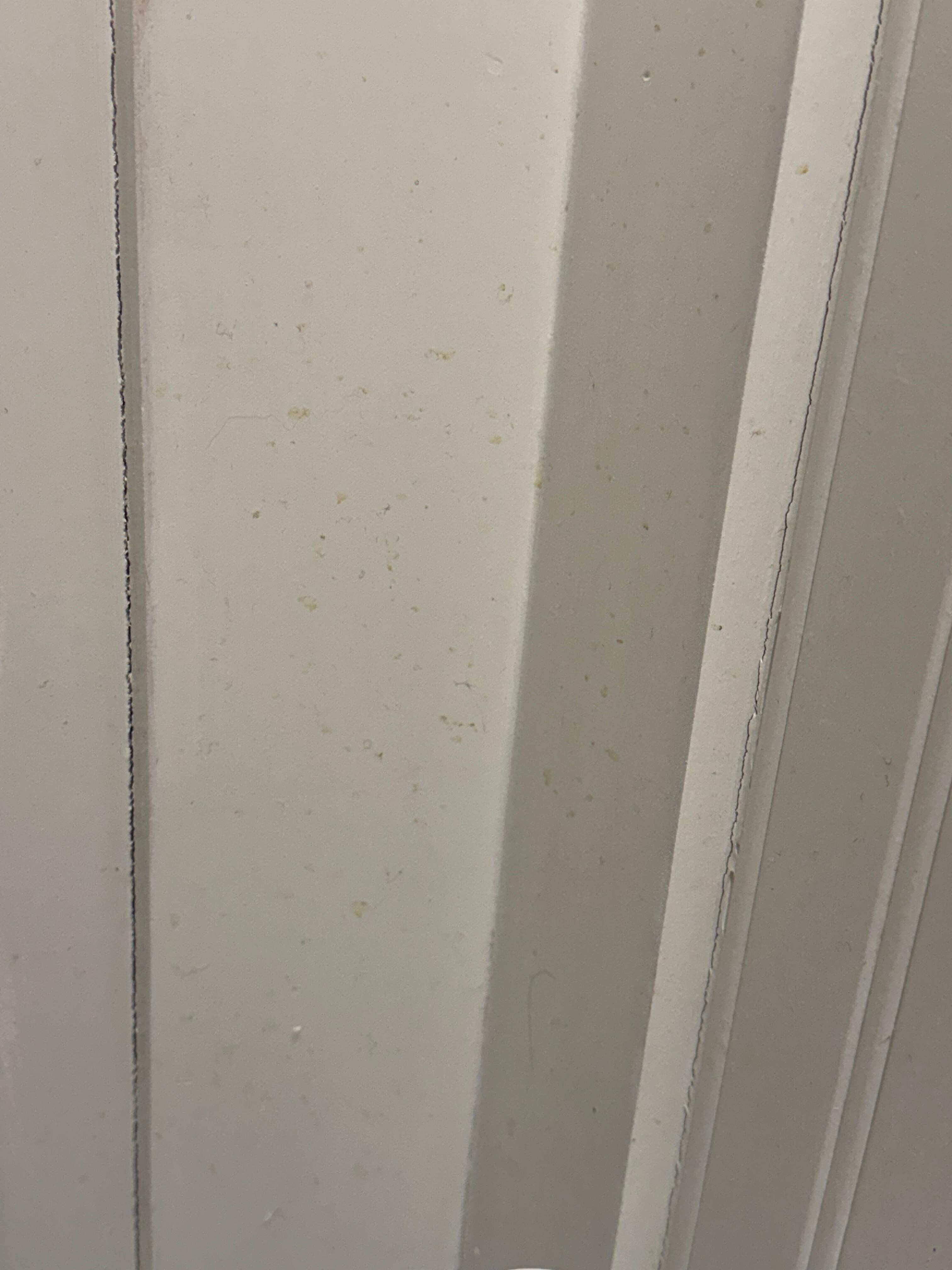 Urine on bathroom walls. 