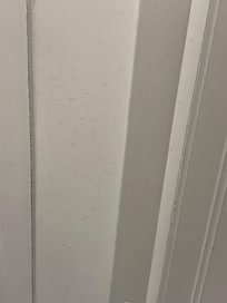 Urine on bathroom walls.