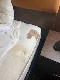 Disgusting stains on bed